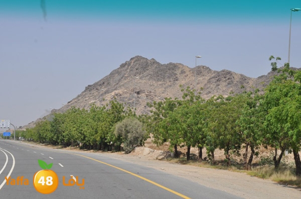 3omranewyaffa326 (49).JPG